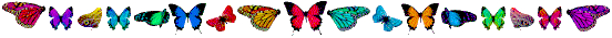 butterflyborder.gif