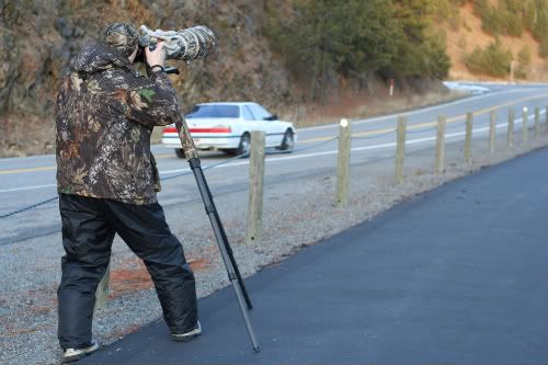 IMAGE: http://i76.photobucket.com/albums/j4/nculora/IMG_8834-1.jpg