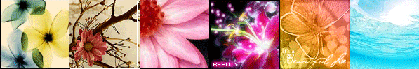 banner-1.gif flowers image by xxmonni
