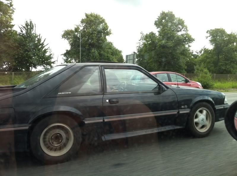 Herts, Beds, Bucks & Cambs Spotted Page 222 Herts, Beds, Bucks