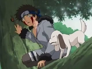 kiba.jpg kiba.jpg