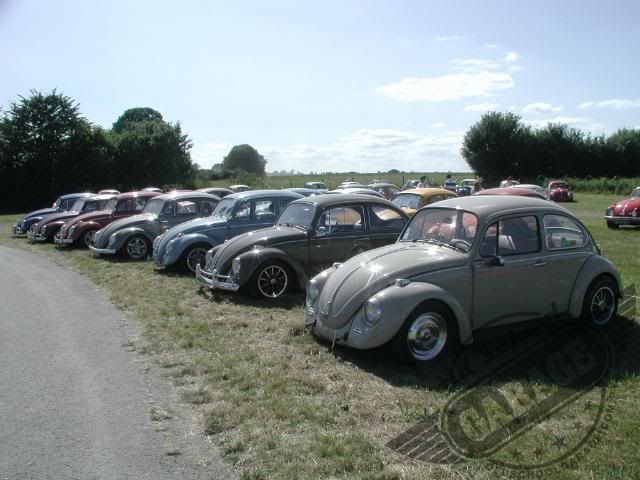 3 European Bug-In Chimay 2009