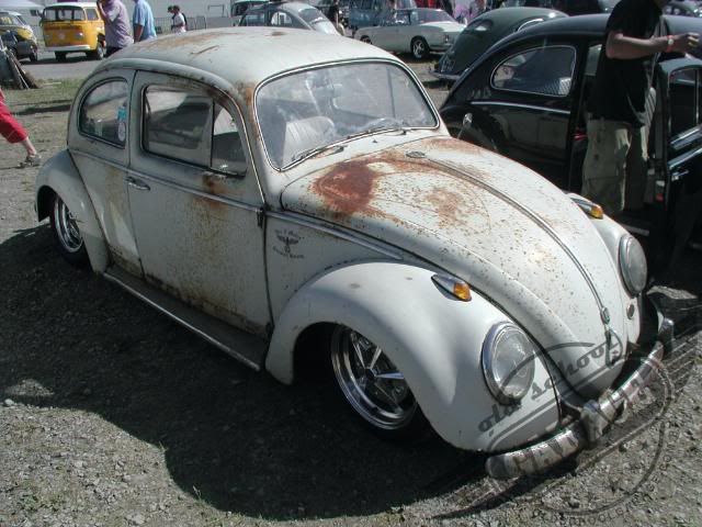 3 European Bug-In Chimay 2009