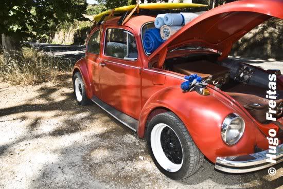 V BBQ VW 2010
