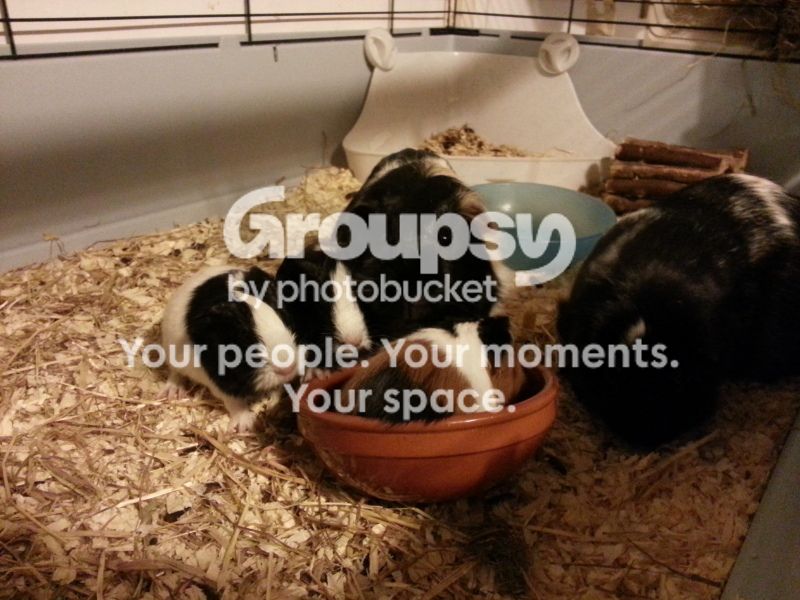 20130126_220445.jpg