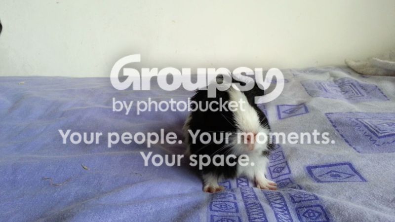 20130214_123747_7832.jpg