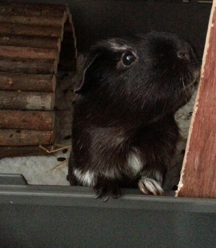 20130803_092122-1.jpg