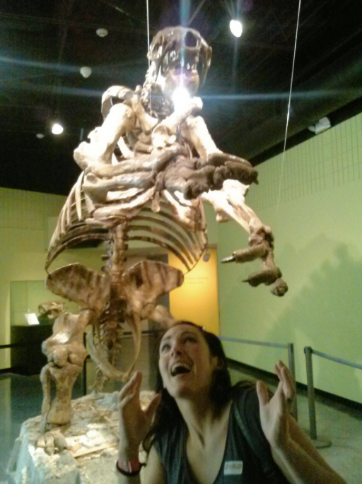 Things to do in Daytona Beach: Museum of Arts and Sciences