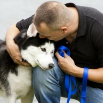 Our favorite charities: PetSmart Charities