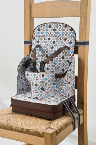 Go Anywhere baby booster seat