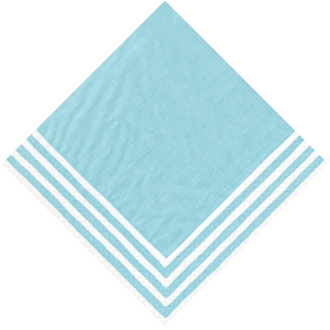 Turquiose stripe border napkin