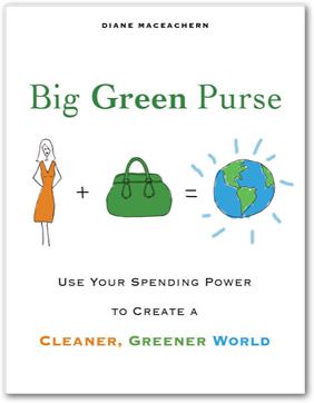 Big Green Purse book by Diane MacEachern