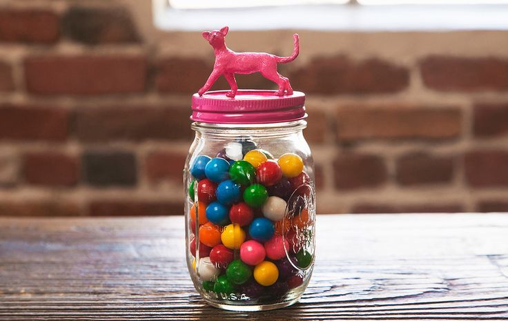 darby smart cat-tastic jars on cool mom picks