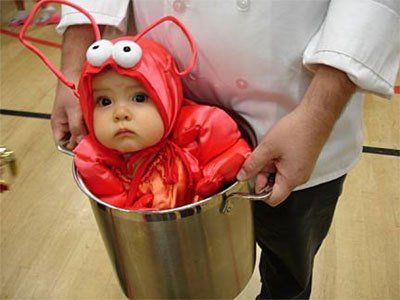 Chef with Baby Lobster Halloween costume