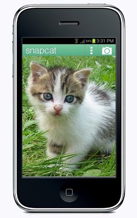 SnapCat app  screen shot on Cool Mom Tech