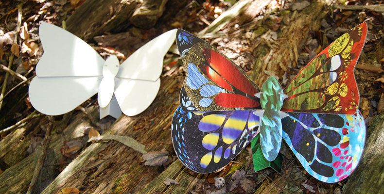 Recycled cardboard 3D butterfly puzzle | Urban Canvas