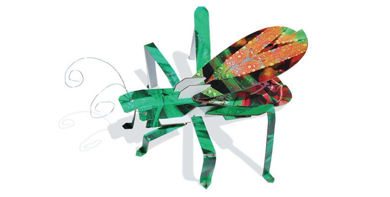 3D grasshopper puzzle | Urban Canvas