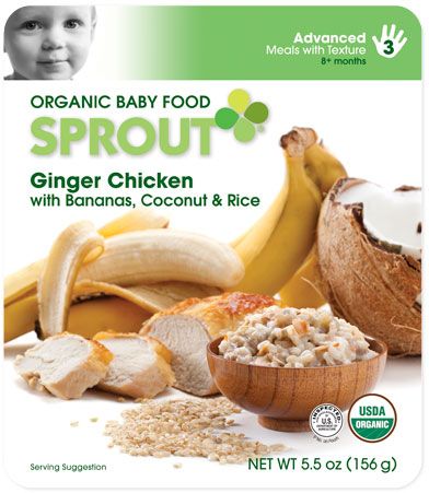 Organic baby food - Ginger Chicken