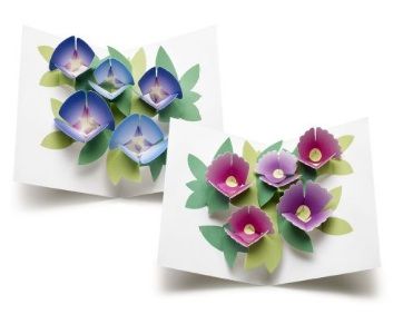 Popup note cards -  Blossoms