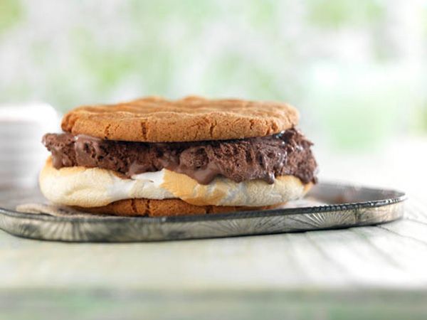 S'mores Ice Cream Sandwich | Cool Mom Picks