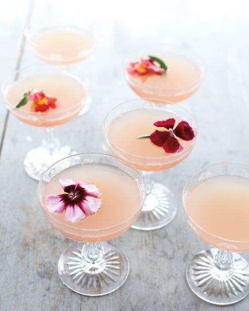 Lillet Rose Cocktails at Cool Mom Picks