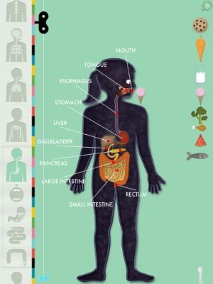 The Human Body App | Cool Mom Tech