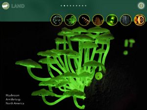 Cool kids' science apps for the iPad: Creatures of Light