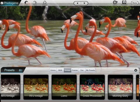 PhotoGene photo editing app for iPad