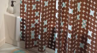 EVA Shower Curtain 