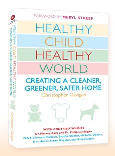 Healthy Child, Healthy World - green parenting book