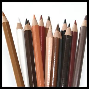 People Pencils colored pencils in a range of skin colors