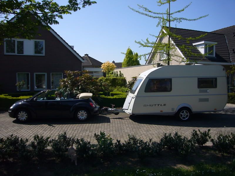 P1020290.jpg