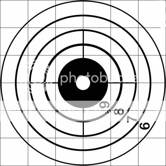 Post What Targets You Use - Airguns & Guns Forum