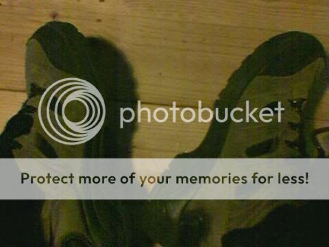 https://i76.photobucket.com/albums/j34/Nachtefuchs/Boots.jpg