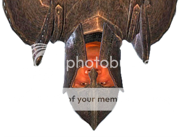 https://i76.photobucket.com/albums/j34/Nachtefuchs/Oblivion%20Screens/LegionFaceUpside.png