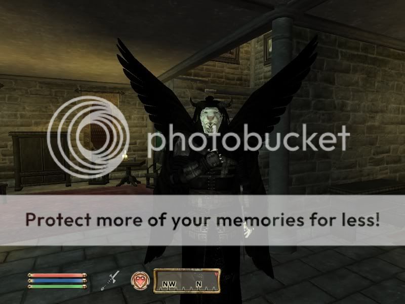 https://i76.photobucket.com/albums/j34/Nachtefuchs/Oblivion%20Screens/Oblivion2007-06-0721-44-57-81.jpg