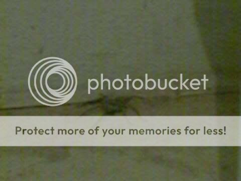 https://i76.photobucket.com/albums/j34/Nachtefuchs/Phone%20Pics/Image10.jpg