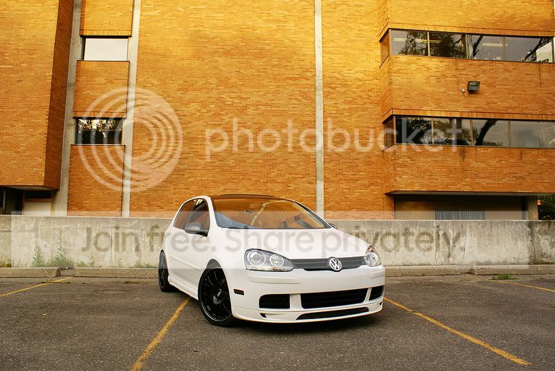 Rabbit Love | VW Vortex - Volkswagen Forum